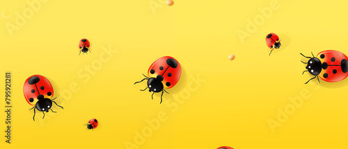 ladybug on yellow background