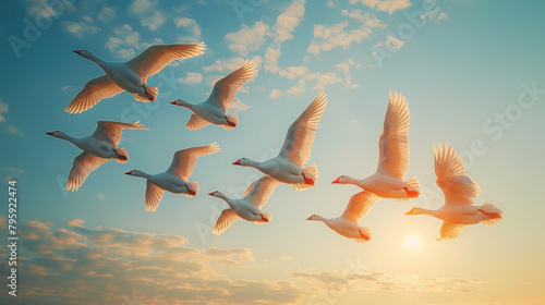A flock of white geese flying in the sky photo