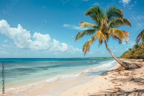 Beach with palm trees and sea on a clear day
