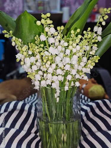 lily of the valley