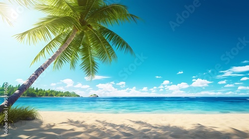 a beach scene and palm trees © Sahnaj