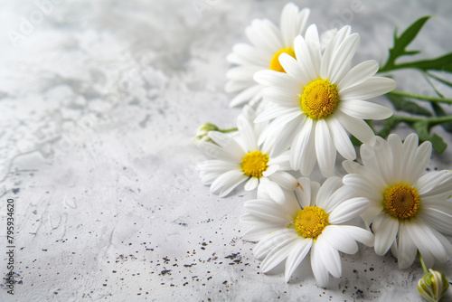 Copy-space of white daisy flowers  a serene tableau capturing the purity and charm of spring blossoms