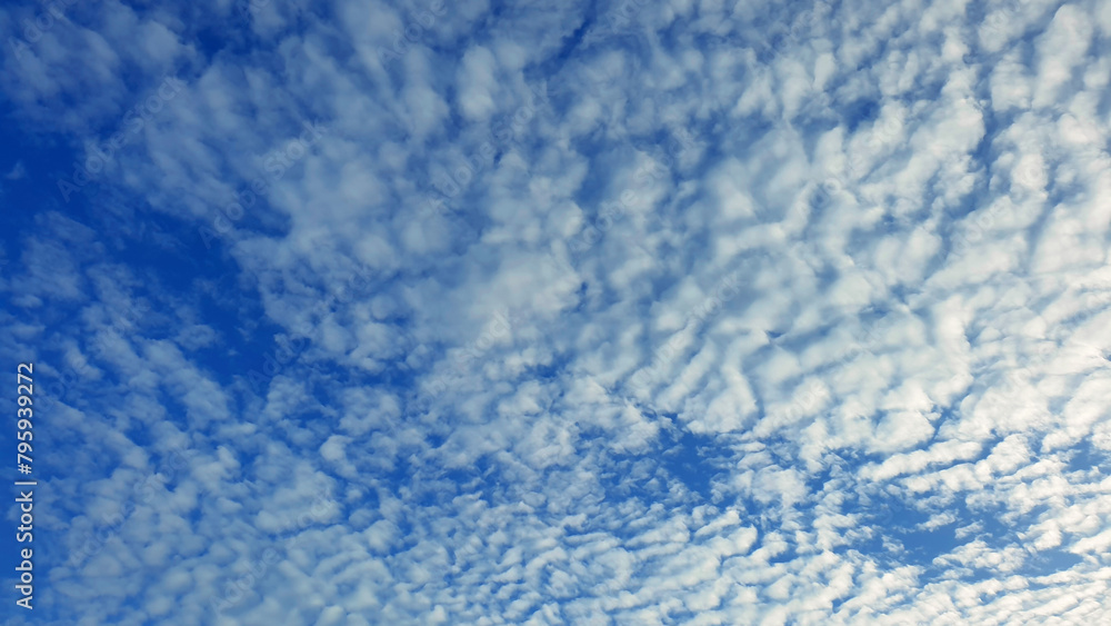 White heap clouds in the blue sky, Cloud Background, Wallpaper  Sky in Morning