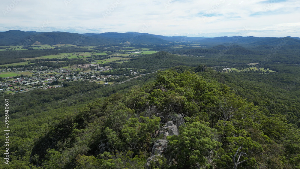 Mount Alum bush walk at Bulahdelah