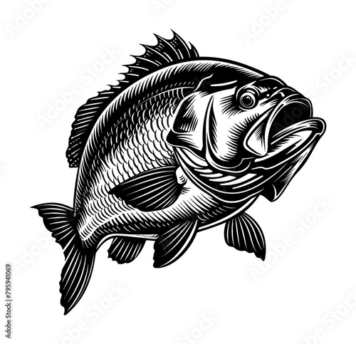 bass fish engraving black and white outline
