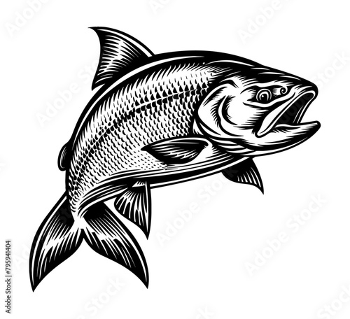 salmon engraving black and white outline