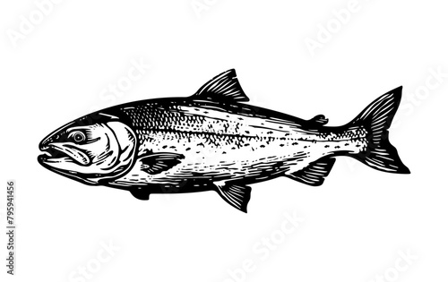 salmon engraving black and white outline