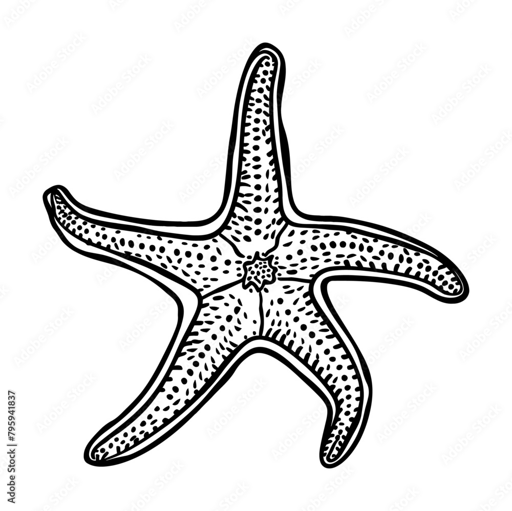 starfish engraving black and white outline starfish engraving black and white outline