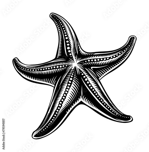 starfish engraving black and white outline