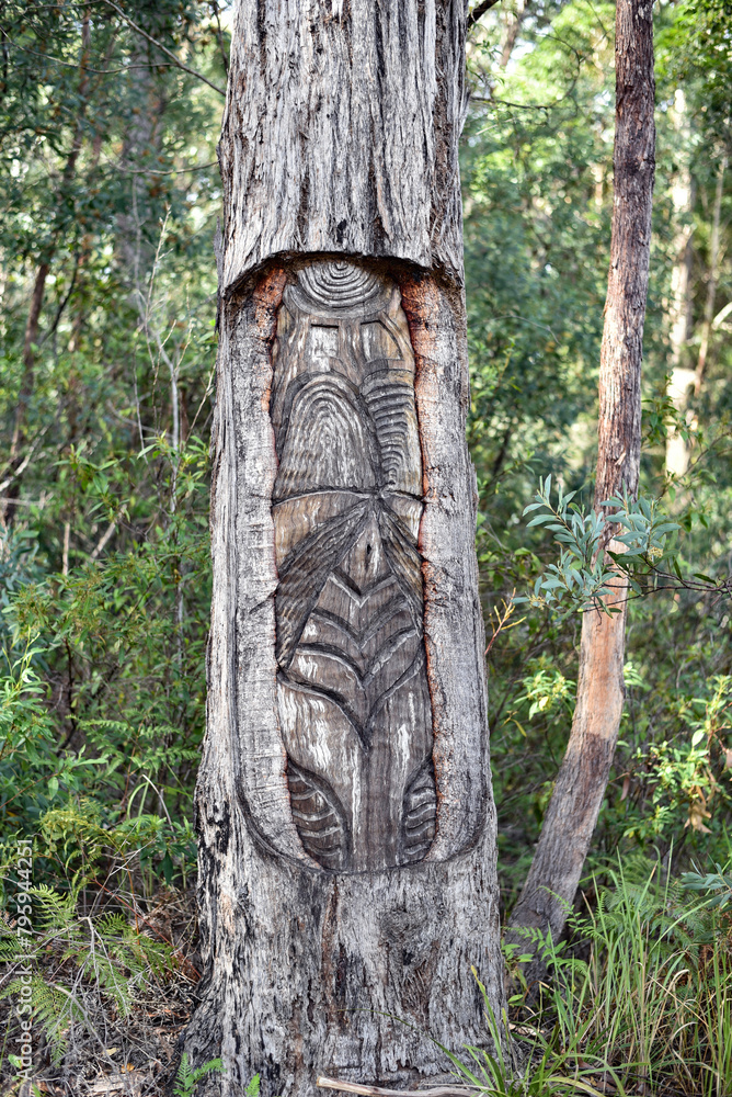 Mount Alum bush walk at Bulahdelah Mount Alum bush walk at Bulahdelah