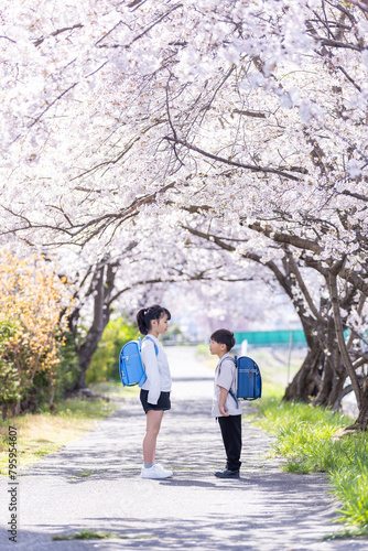 桜の木の下で向かい合う兄弟