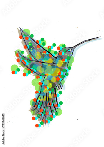 hummingbird colorful rainbow bird circles color