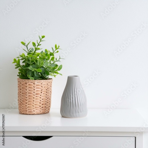 plant in a vase, a modern vase and interior plant pot on sleek white furniture against a clean white background