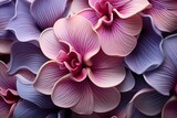 Exotic Floral Hues: Orchid Bloom Color Gradients Showcase