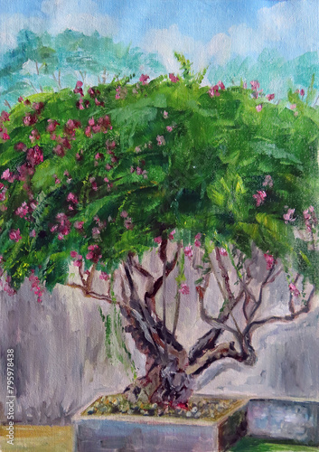 blossoming bougainvillea tree, oil painting on canvas