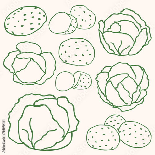 Potato and Cabbage Outline Collection.eps