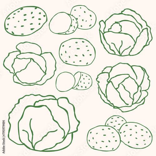 Potato and Cabbage Outline Collection.eps