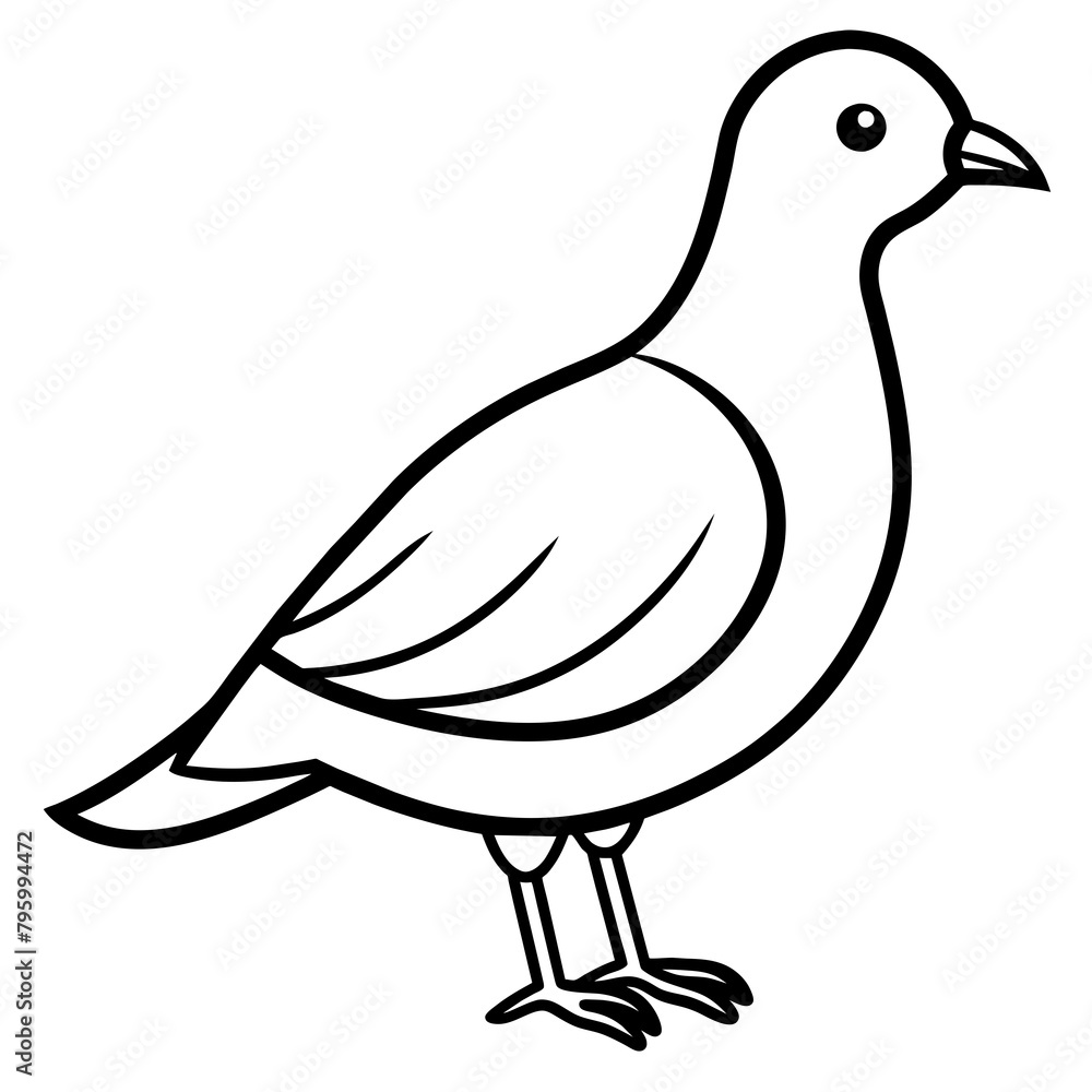 Obraz premium illustration of pigeon