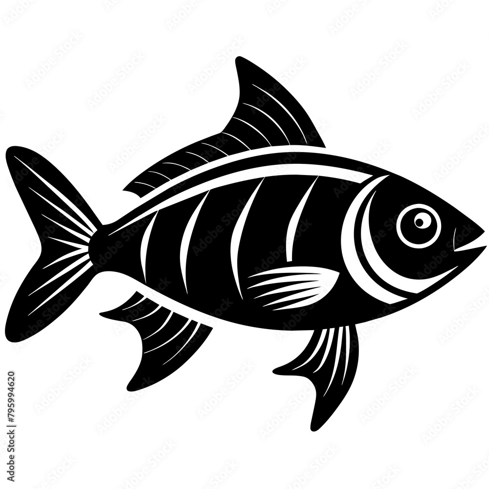 fish isolated on white fish isolated on white