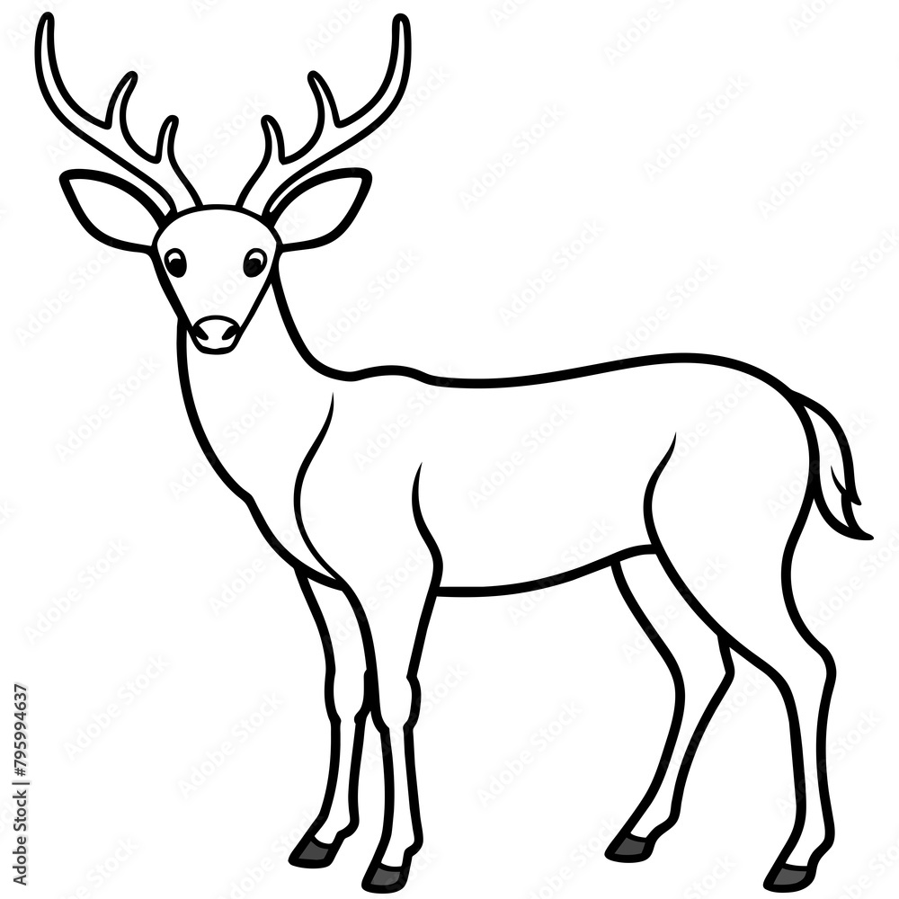 Fototapeta premium deer silhouette vector