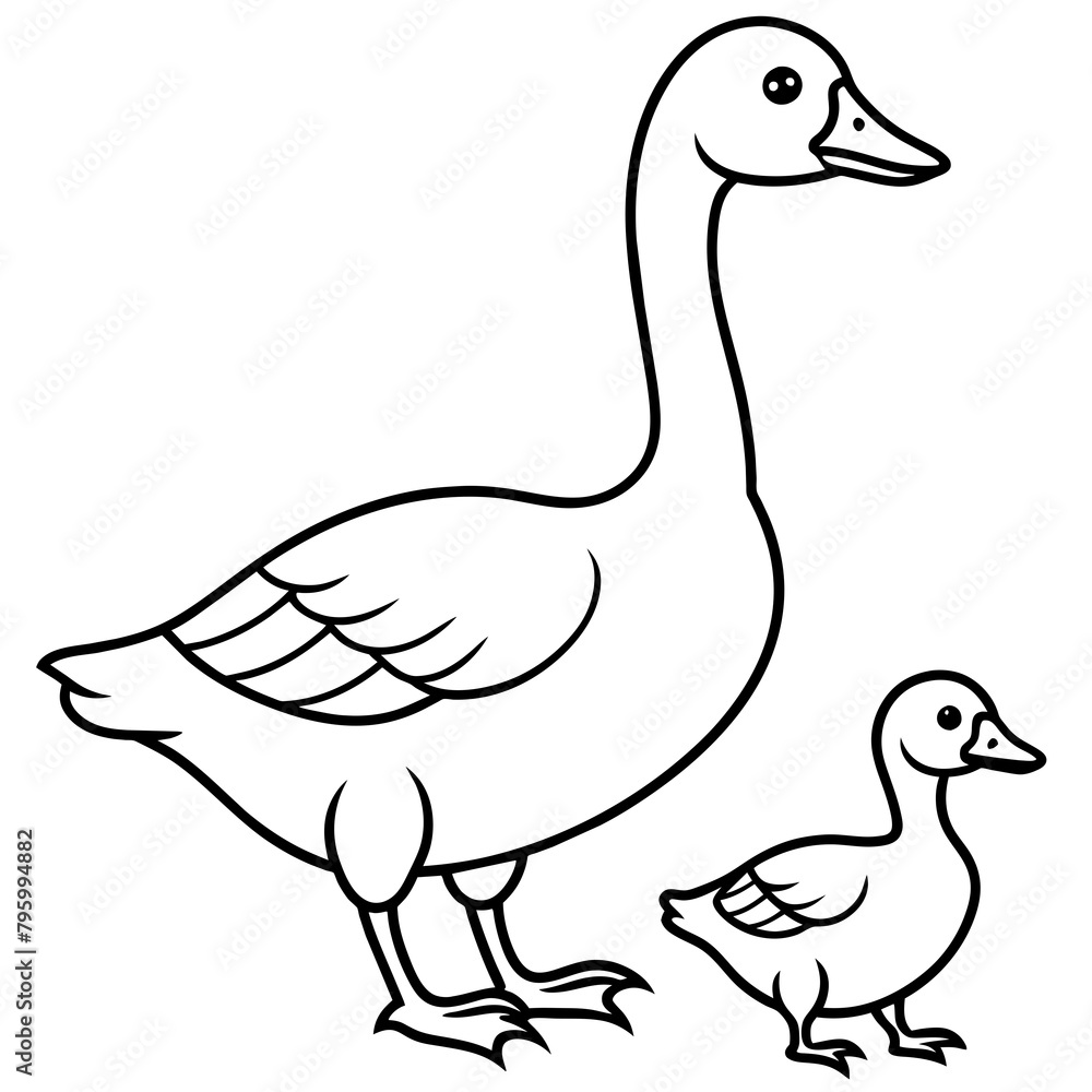 duck isolated on white duck isolated on white