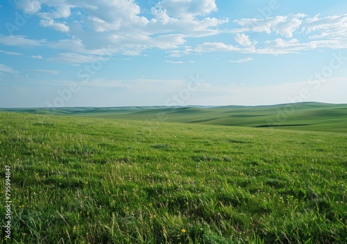 b'Vast green grassland landscape under blue sky and white clouds' photo