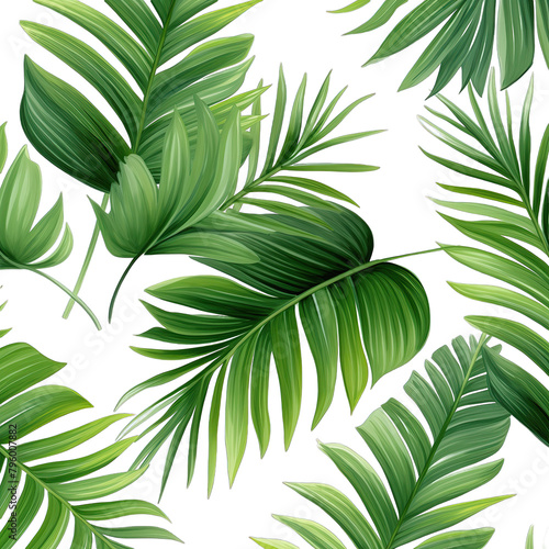 tropical palm leaves on white background