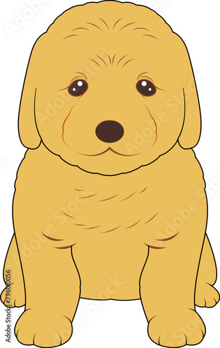 お座りするゴールデンレトリバーの子犬