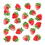 Strawberry on White Background