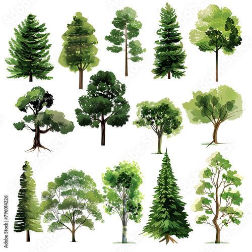 Tree Treasure Trove Clipart Collection on white background