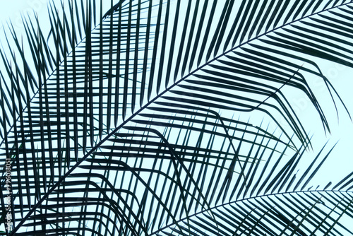 Wallpaper Mural black and white background Torontodigital.ca