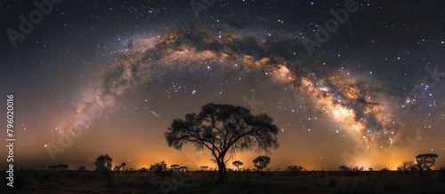 Scenic view of a milky sky spreading over the vast plains, adorned with trees and featuring a solitary tree standing out in the landscape