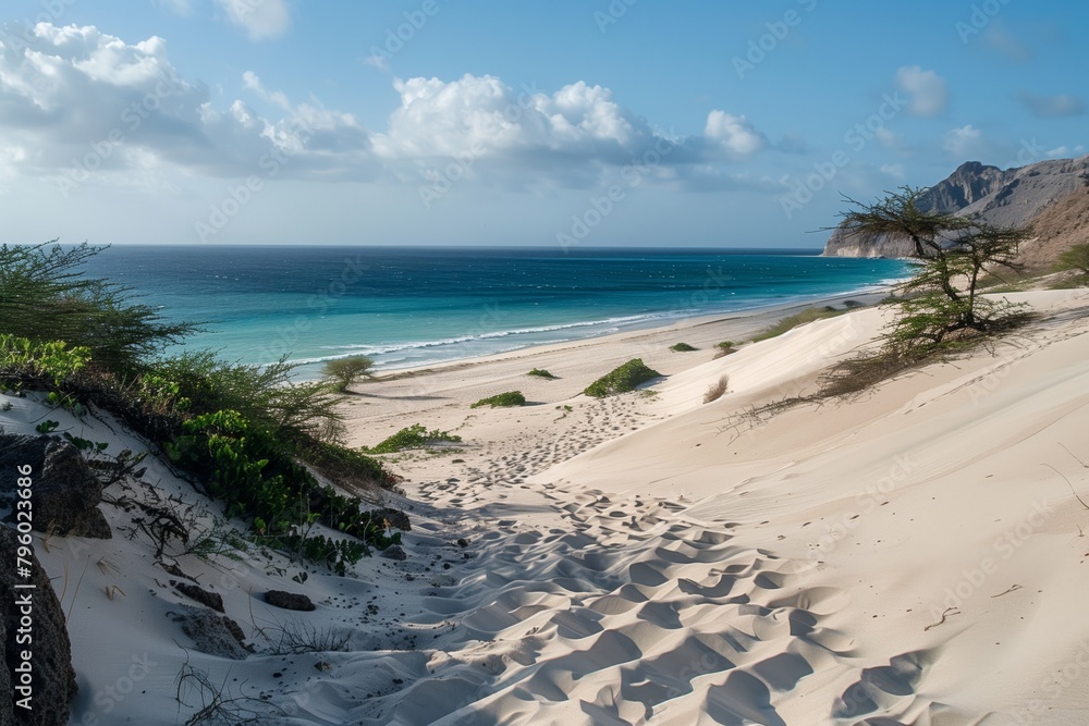 Socotra Island