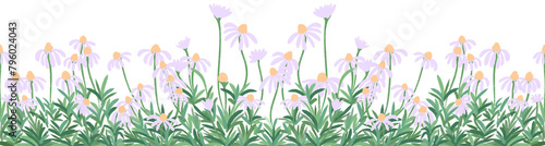 purple flowers border