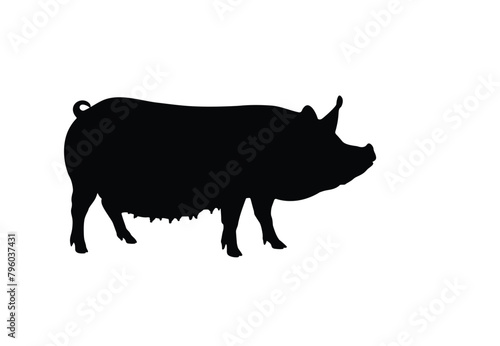 Pig silhouette, vector illustration of a black icon, pig silhouette logo isolated on white. Pig outline shape silhouette. Pig sign, isolated black silhouette pig on white background.