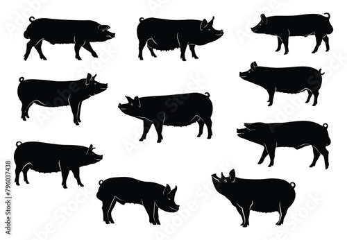 Pig silhouette set, vector illustration of icons. Pig silhouette shape outline.