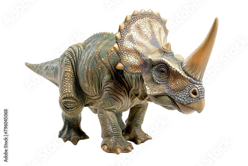 Triceratops Child Isolated © Hungarian