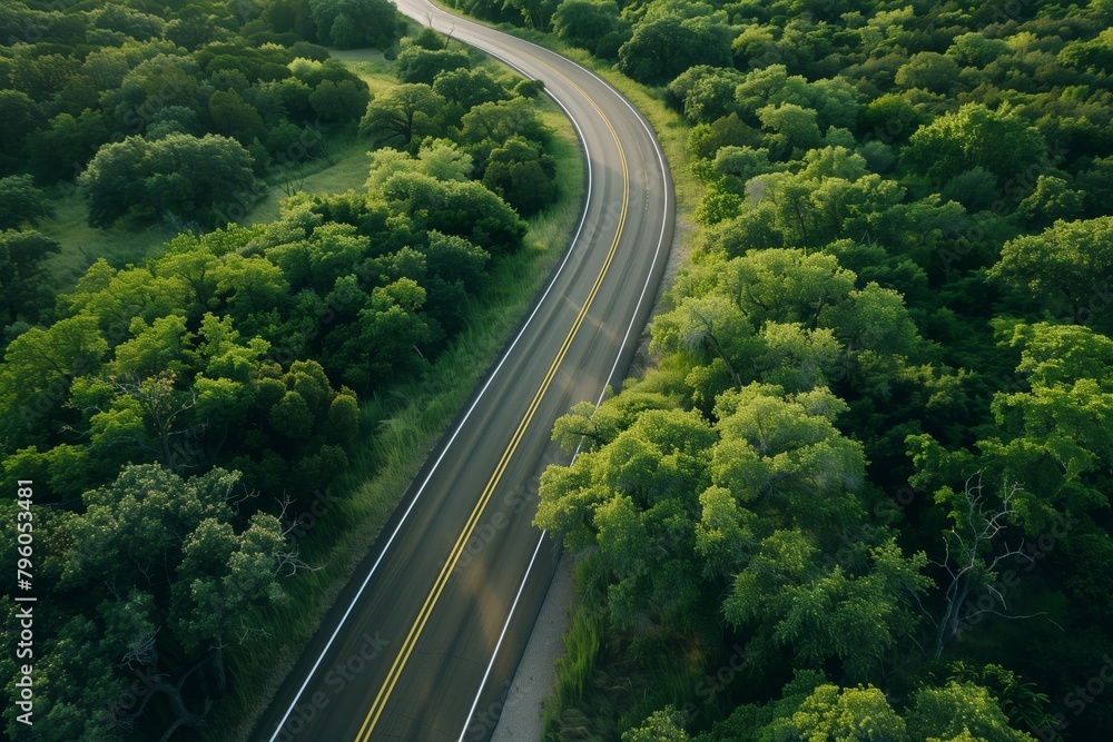 two-lane road in the middle of the forest