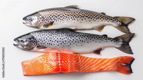 Artistic top view of salmon, mackerel, and trout, emphasizing their role as excellent sources of omega-3 fatty acids, against an isolated background, studio lighting
