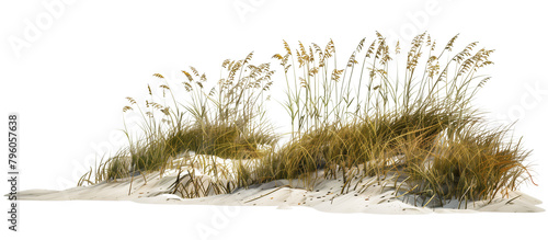 Wave-like design of sea oats and beach grass along a coastal restoration project, aiming to prevent erosion, isolated on transparent background