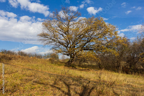 early autumn  nature walks  panoramic views  hiking trails and mountain holidays.