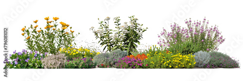 set of native flower beds, showcasing a blend of wildflowers and native shrubs, demonstrating natural garden design, isolated on transparent backgroun
