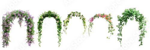 set of floral arches, each adorned with cascading blossoms and verdant leaves, isolated on transparent background