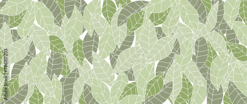 Abstract foliage botanical background vector. Green color wallpaper of tropical plants, leaf branches, leaves. Foliage design for banner, prints, decor, wall art, decoration. photo