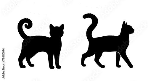 Set of black cat silhouette. Kitten silhouette collection. Cat silhouette set vector illustration High quality and isolated on a white background © abdel moumen rahal