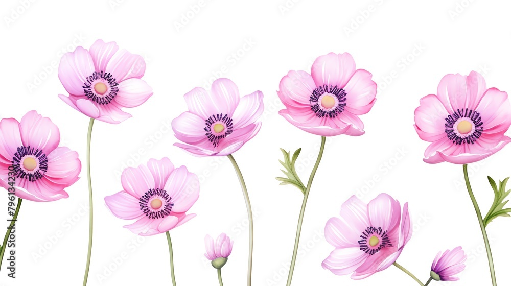 Anemones Represent anticipation and are believed to bring luck and protection against evil