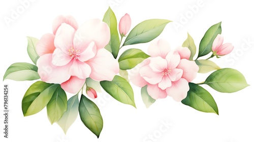 Camellias These beautiful flowers symbolize admiration  perfection  and good luck