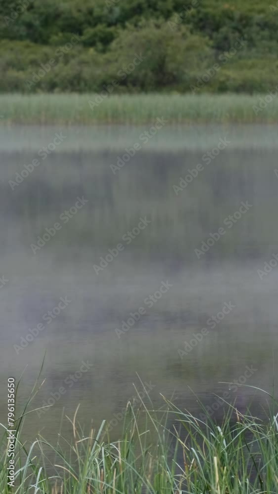 Vertical video of morning fog over water. Lake Chagakol is one of the mountain Ulagan lakes. Vertical video of morning fog over water. Lake Chagakol is one of the mountain Ulagan lakes.
