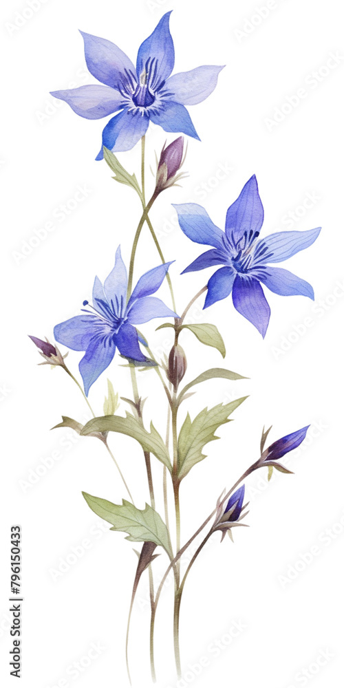 Fototapeta premium bouquet of blue flowers