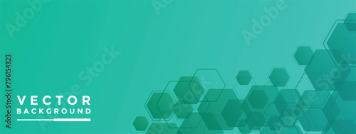 Background Mint green hexagon pattern look like honeycomb vector illustration lighting effect graphic for text and message board design infographic